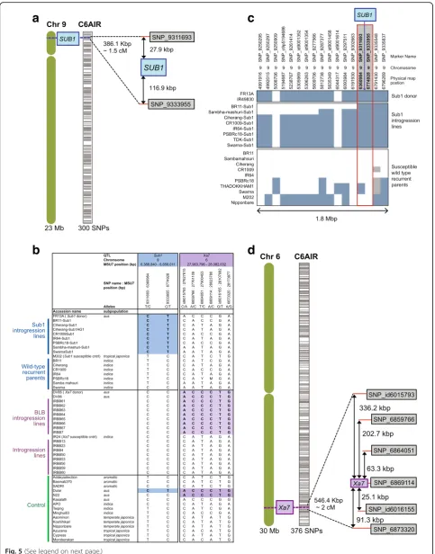 Fig. 5 (See legend on next page.)