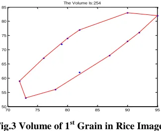 Fig.3 Volume of 1st Grain in Rice Image 