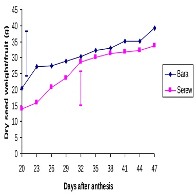 Fig. 5 Variations in average dry seed weight (g) per fruit of bara and serewe harvested at different days after anthesis