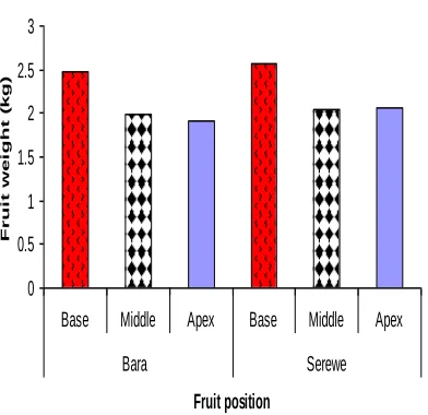 Fig. 13 Variations in the average number of seeds per fruit of bara and serewe harvested at different positions on mother plant