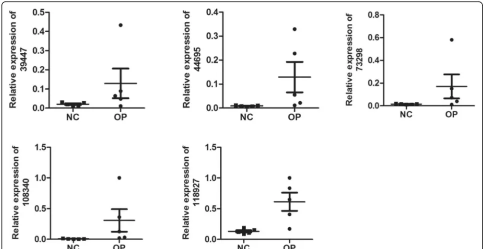 Fig. 5 qRT-PCR validation. qRT-PCR verification of 5 candidate lncRNAs in 5 pairs of OP and NC group tissue