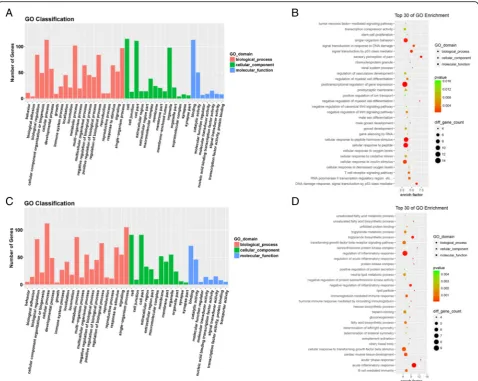 Fig. 2 GO analysis. Functions of significantly differently expressed lncRNAs,mRNAs (fold change> 2; p < 0.05) were analyzed by GO annotations,cellular component,and molecular function of lncRNAs,mRNAs.and functions of novel lncRNAs were deduced by their co