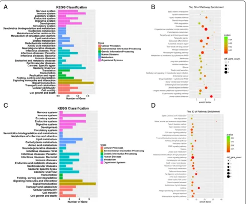 Fig. 3 Kyoto Encyclopedia of Genes and Genomes (KEGG) pathway analyses. The KEGG pathway is a collection of manually drawn signal pathwayEnvironmental Information Processing, Genetic Information Processing, Human Diseases, Metabolism and Organismal Systems