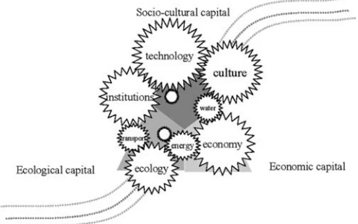 Fig. 1 Metaphorical illustration of a transition as a complex set of societal cogwheels (Martens and Rotmans 2002) In the  predevel-opment phase of the transition, the cogwheels interlock