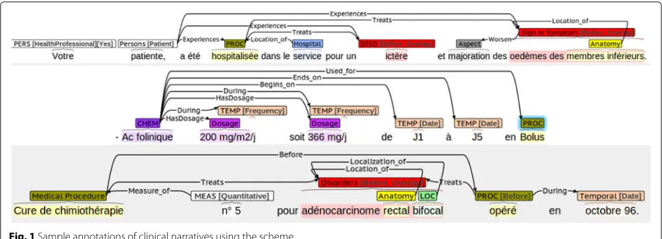 Fig. 1 Sample annotations of clinical narratives using the scheme