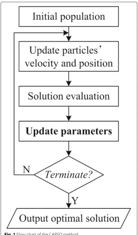 Fig. 1 Flow chart of the CAPSO method
