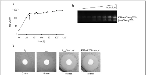Fig. 2  tculture supernatants were tested against the sensitive a Growth curve of the recombinant P