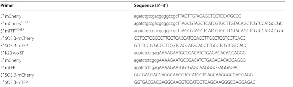 Table 3 PCR primers used in this study