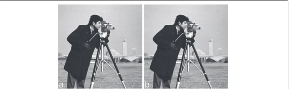 Fig. 7 Deblurred images by separated BI-RL a with 4 × 4 and b 16 × 16 rectangular blocks