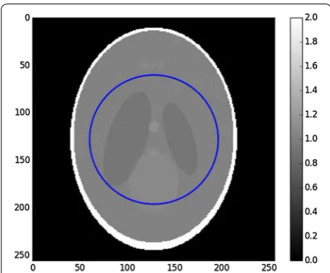 Fig. 3 Zoom on the region of interest defined by the blue circle in Fig.  with padded FBP