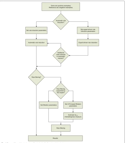 Fig. 1 The workflow of the induction of logical rules for functional description