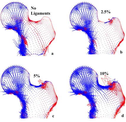 Figure 3Two-legged stanceTwo-legged stance. The distribution of principal stresses as the tension in the spring elements is increased