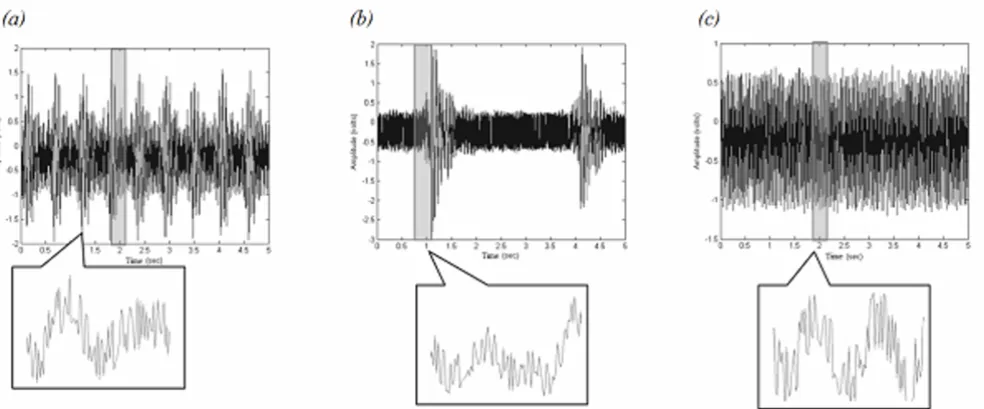 Table 1: Description of rodents and imaging sequence parameters