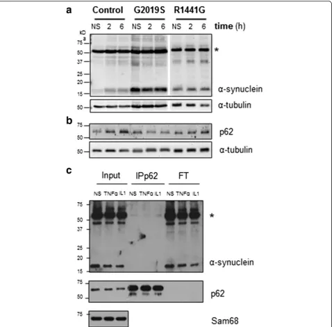 Fig. 5 Effect of TNFα on α-synuclein. a Western blot analysis showing α-synuclein and b p62 proteins in mature neurons after treatment withTNFα, at 2 and 6 h