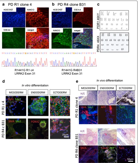 Fig. 1 Characterization of pluripotency of the LRRK2R1441G mutant iPSC lines (PD-R1 and PD-R4)