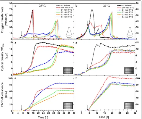 Fig. 3 Comparison of selected induction conditions at 28 and 37 °C measured in a RAMOS and a BioLector device