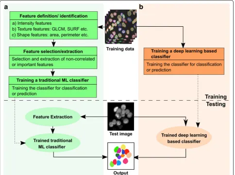 Fig. 5 Workflow utilizing supervised machine learning for classification and prediction