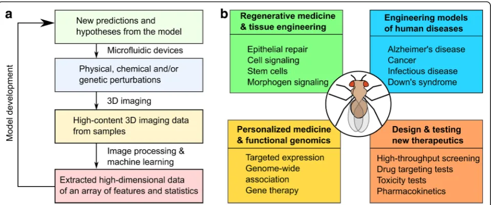 Fig. 1 Workflow for reverse-engineering multicellular systems and the broad applicability ofmedicine and functional genomics, the effects of alternative gene mutations can be mapped to phenotype