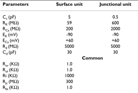 Table 2: Black-box values for surface membraneunit and junctional membrane unit