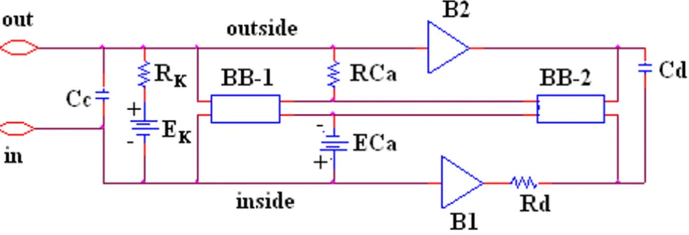 Table 3: Summary of TPT and θ values as a function of number of gap-junction channels.