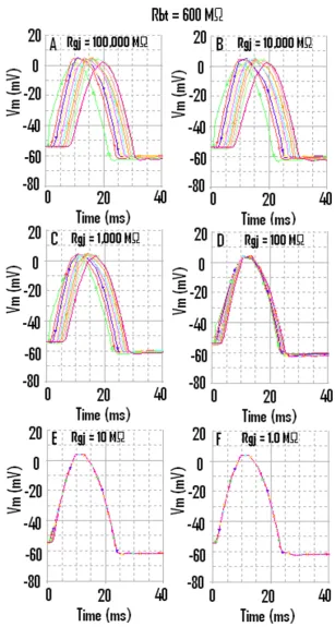 Figure 4gj-channels (When the strand termination resistance was increased to 600 MA) or only one gj-channel (B)Ω, then the last cell (cell #10) did not fail when there were no When the strand termination resistance was increased to 600 MΩ, then the last ce