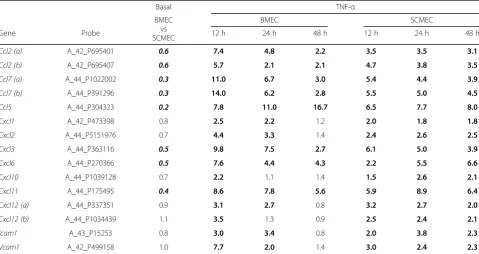 Fig. 5 Kinetics of global transcriptomic effects of TNF-TNF-α in BMEC and SCMEC monolayers