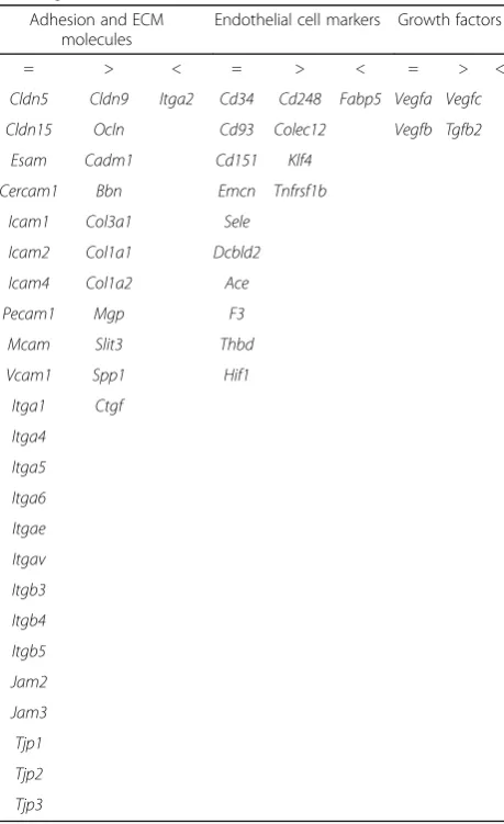 Table 1 Comparative basal expression of selected endothelium-related genes in BMECs and SCMECs