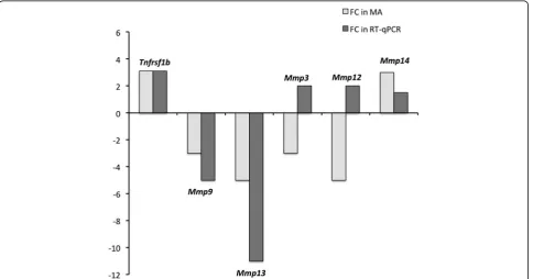 Table 2 In vivo validation of endothelium-related genes highlyexpressed in BMECs compared to SCMECs