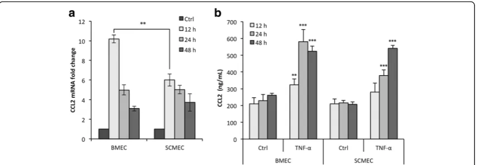 Fig. 3 CCL2 expression and secretion upon TNF-quantification in all tested conditions
