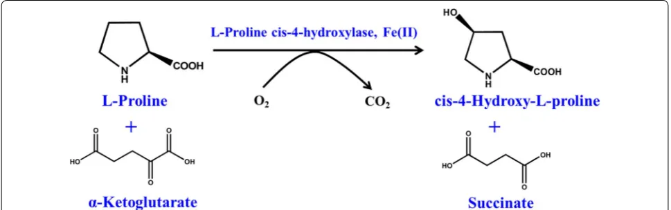 Fig. 1 Scheme of cis-4-hydroxy-l-proline (CHOP) synthesis catalyzed by recombinant E. coli expressing l-proline cis-4-hydroxylase