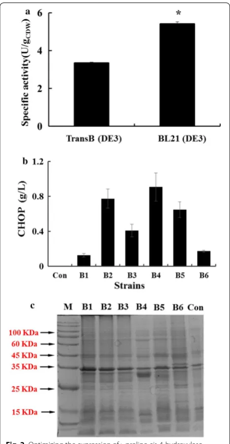 Fig. 2 Optimizing the expression of l-proline cis-4-hydroxylase in E. coli. a CHOP production with different host cells
