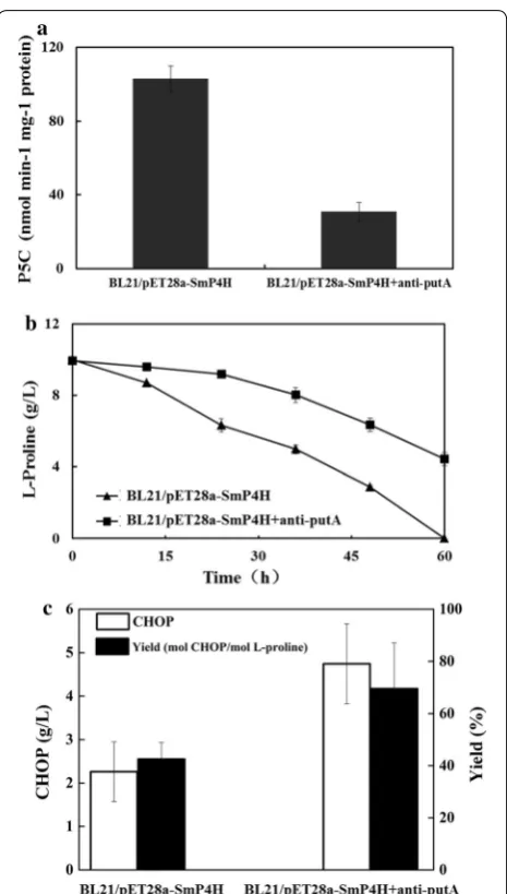 Fig. 3 Improved CHOP production by repressing endogenous l-pro-line degradation with CRISPRi technology