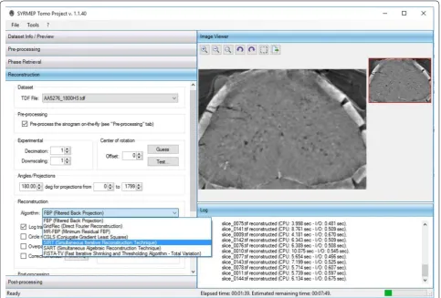 Fig. 2 Snapshot of the STP main window. The image preview reports a zoom in on a reconstructed slice of a healthy adult male C57 Black mouse (20–22 g, body weight) spinal cord at the lumbar level