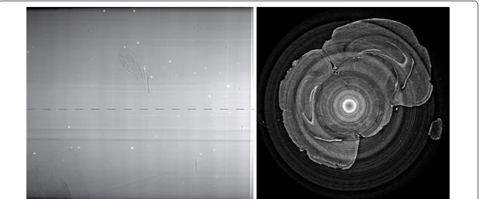Fig. 4 On the left: (average) flat field image collected before the acquisition of all the projections