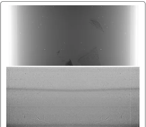 Fig. 5 On top: sample projection (after sinogram stitching) corrected with dynamic flat fielding