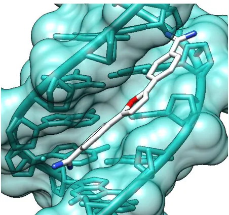 Figure 1.3 Classical minor groove binding compounds. Netropsin and Distamycin are naturally occurring polyamide groove binders and DB75 is a synthetic, dicationic diamidine