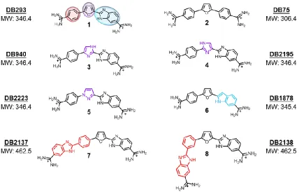 Figure 3.1 Structures of dicationic diamidine minor groove binding compounds used to investigate dimer formation in mixed-sequence sites