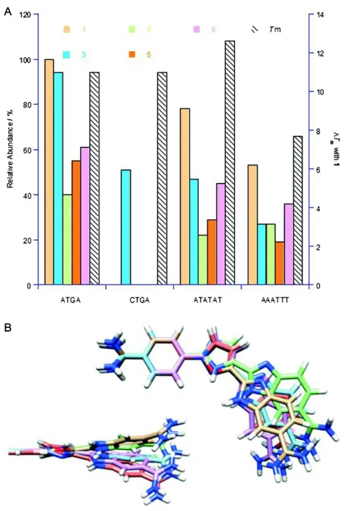 Figure 3.10 Comparison of relative abundances and thermal melting. (A) Comparison of the relative peak intensities (3%) for complexes and ΔTm values (0.5 ºC) for mixed DNA sequences with 1 and the dimer-forming analogues 3-6