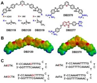 Figure 4.1 Representative minor groove binding compounds and test sequences.  (A) Chemical structures of mixed sequence targeting compounds