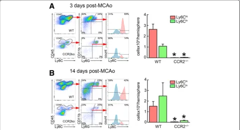 Fig. 5 Ly6Cidentified by high expression of CD45 and CD11b and low expression of Ly6G (CD45hi and Ly6Clo Mo/MΦ do not accumulate in the brain of CCR2−/− mice after MCAo