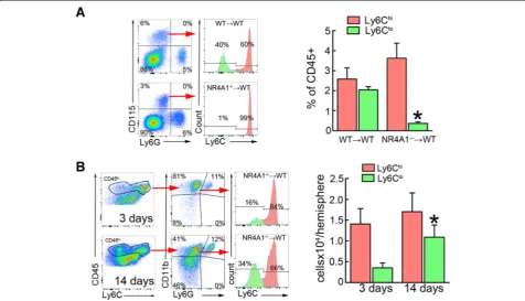 Fig. 6 Brain Ly6Cafter MCAo. *lo Mo/MΦ develop independently of circulating Ly6Clo monocytes after MCAo