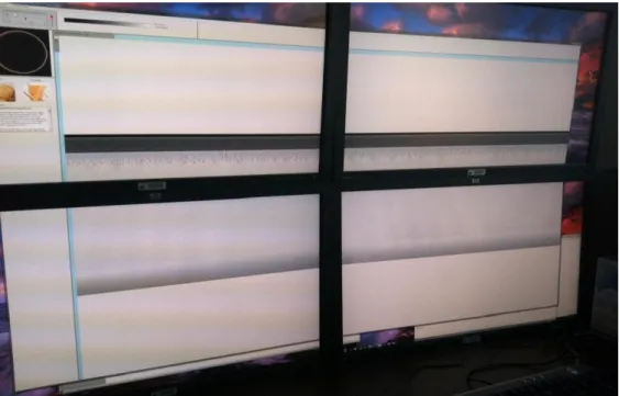 FIGURE 3.  Four  showing unwrapped reslices spanning the four monitors.