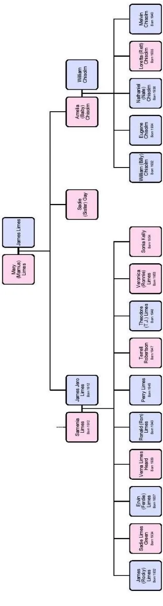 Figure 3.  A Limes Family Tree 
