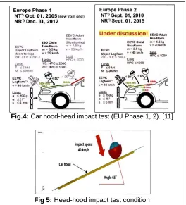 Fig 5:  Head-hood impact test condition  