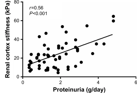 Figure 2 The inverse correlation between renal cortex stiffness and thickness.