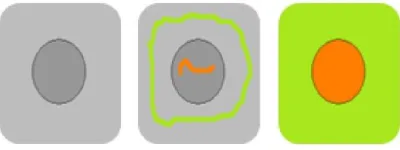Figure 1(a) Gray Image, (b) Scribbled Image, (c) Colorized Image 