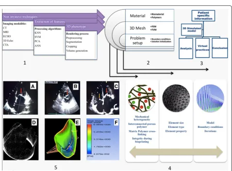 Table 1 Decision making parameters confirming the existence of VHD for most effective non-invasive investigations