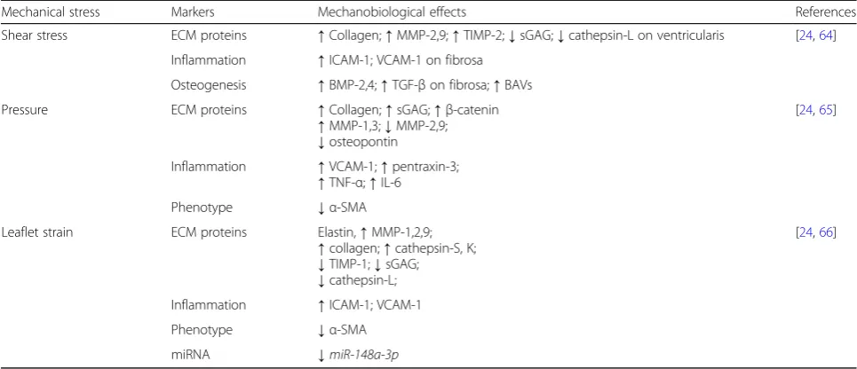Table 2 Mechanobiological effects on valve cells under various mechanical stresses