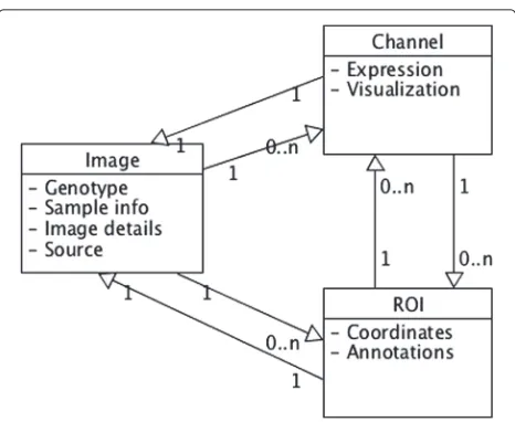 Fig. 2 PhIS schema. The image entity is the core meta-data objectand stores generic, immutable meta-data such as imaging procedureand details, data source, credits and sample information, genotype orsample preparation techniques