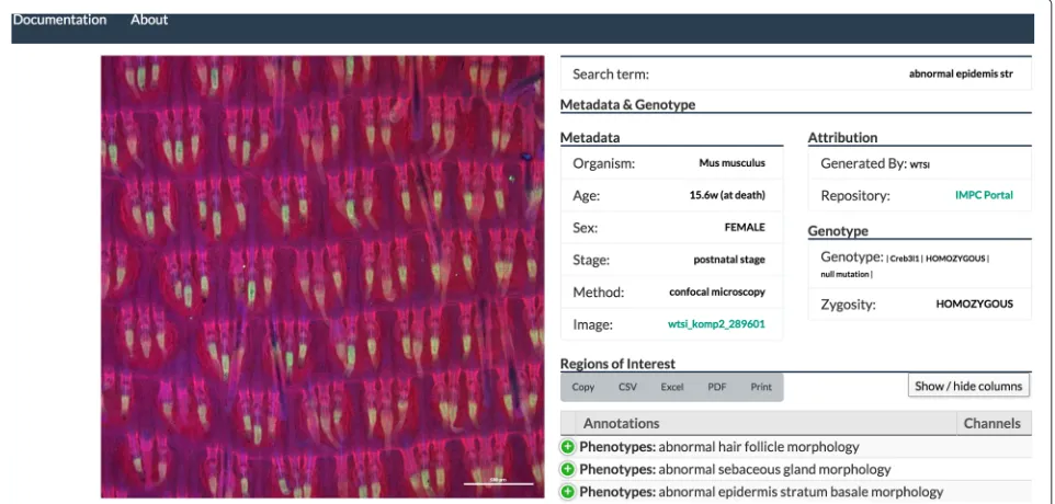Fig. 5 Annotation interface in edit mode. Context menu (a) is available to user via right-click on selected terms from an ontology (b)